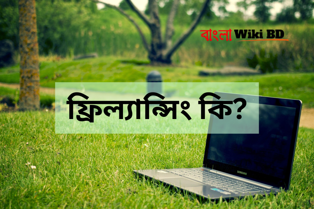 ফ্রিল্যান্সিং কি?