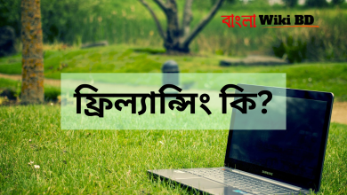ফ্রিল্যান্সিং কি?